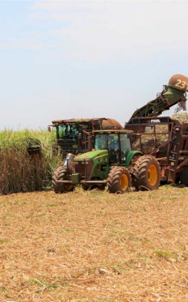 Safra de cana-de-açúcar pode gerar maior produção de etanol da história de MS