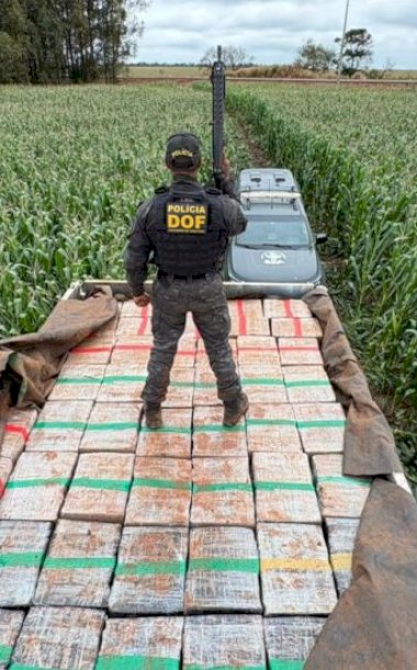 DOF apreende mais de 6 toneladas de maconha após perseguição em Dourados