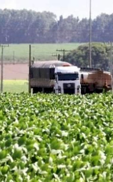 MS entra no radar do BC ap&oacute;s economia crescer quase o dobro da m&eacute;dia nacional