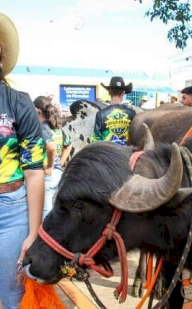 Caarapoense representa tradição sertaneja em cavalgada na Capital