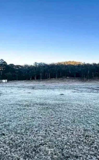 Onda de frio derruba temperaturas e provoca geada em Caarapó e mais 11 cidades de MS