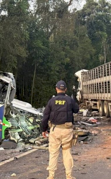 Batida entre carreta e micro-ônibus deixa ao menos 23 mortos no Paraná