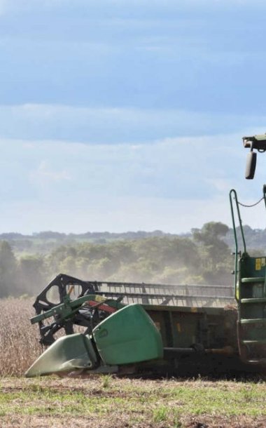 China se consolida como maior parceiro comercial do agro de MS