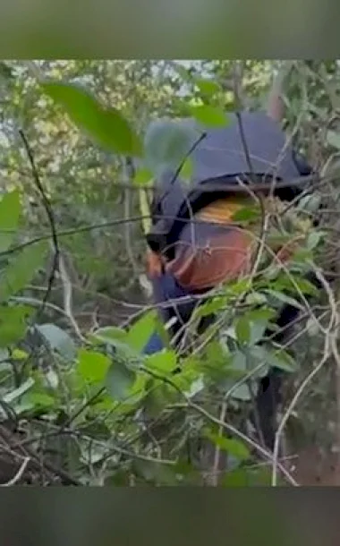 Barco vira no Rio Dourados e 3 amigos passam a noite pendurados em árvore: 'foi assustador'