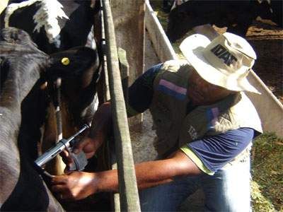 Iagro começa a interditar fazendas em MS
