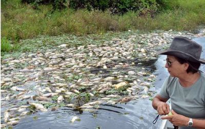 Milhares de peixes podem ter morrido por contaminação no Pantanal, admite PMA