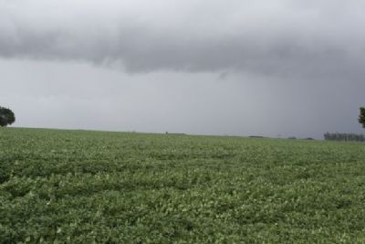 Chuva instável prejudica lavouras da região