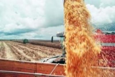 Aprovados  FCO para custeio agropecuário de médios e grandes produtores