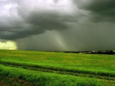 Perdas nas lavouras de soja por conta das chuvas atingem R$ 145 milhões
