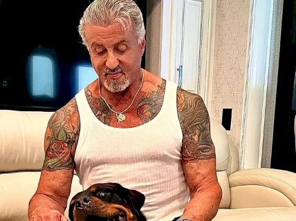 Casamento de Stallone acaba por causa de cachorro