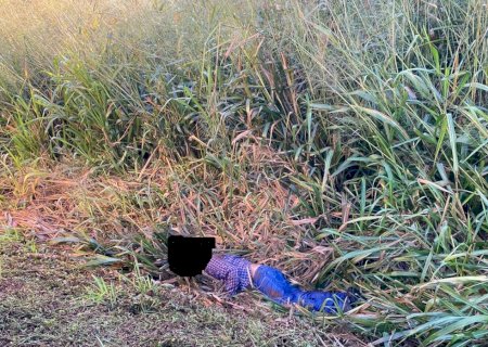 Ciclista é encontrado morto na BR-163 em Caarapó