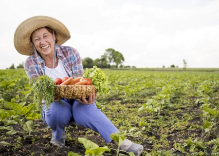 Prefeitura de Caarapó abre processo para compra de gêneros alimentícios da agricultura familiar