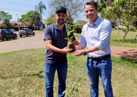 Vereador Nilsinho prestigia ação alusiva ao Dia da Árvore