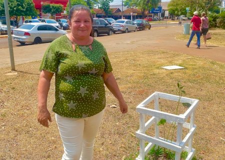 Vereadora Marinalva é atendida com plantio de erva-mate em praças do município