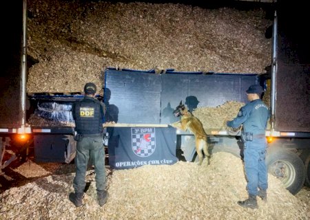 DOF apreende mais de cinco toneladas de drogas na MS-156 em Caarapó