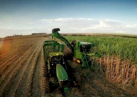 Clima ajuda e Mato Grosso do Sul atinge recorde com produção de 55 mil toneladas de açúcar