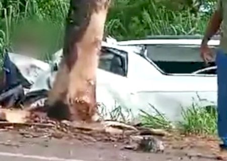Carro de funerária bate em árvore e motorista morre em acidente em rodovia de MS