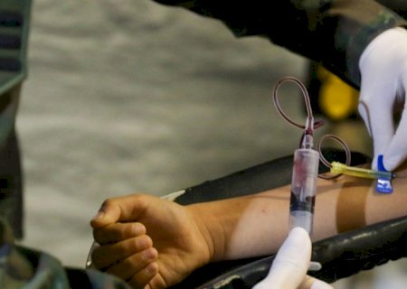 Dengue no Rio passa de 71 mil casos; seis pessoas morreram