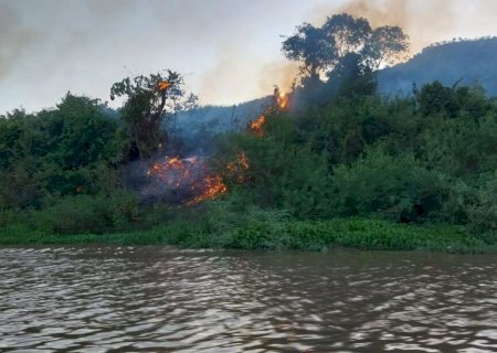Fogo já queimou mais de 170 mil hectares em 60 dias no Pantanal>