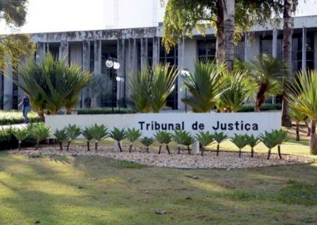 Patrocinador do Palmeiras conquista título nada louvável em MS