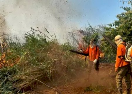 Cerca de 20 fazendas do Pantanal foram incendiadas em um mês