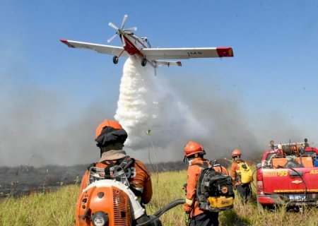 Governo de MS declara situação de emergência em cidades afetadas por incêndios florestais>
