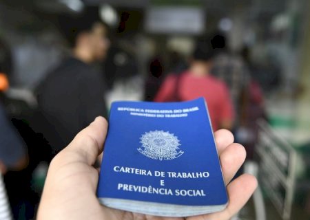 Com mais de 3,8 mil vagas de emprego disponíveis em MS, oportunidades são para 35 municípios