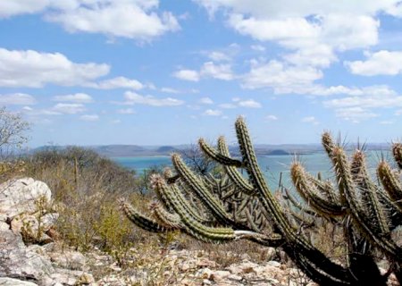 Governo vai criar 12 unidades de conservação na Caatinga