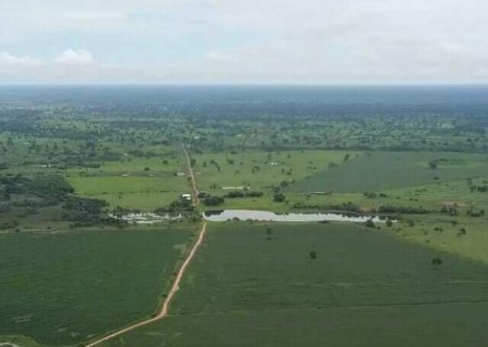 MS contrata temporários para se adequar à Lei do Pantanal