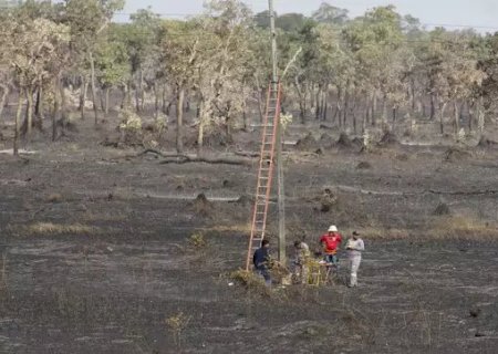 Área queimada do Pantanal pode exceder 2 milhões de hectares até o fim do ano>