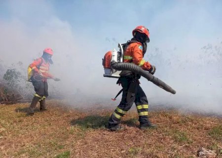 Chance de chuva significativa no Pantanal é quase nula antes de 1º de julho