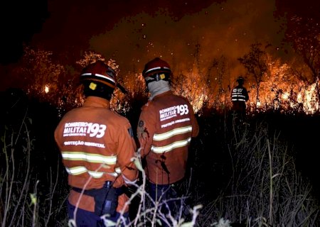 PF vai investigar incêndios criminosos no Pantanal de Mato Grosso do Sul>