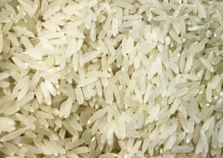 Conab compra 263,3 mil toneladas de arroz importado em leilão