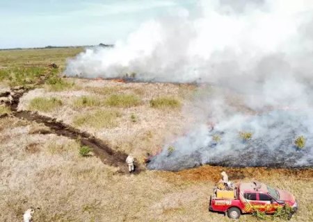 Com chuva abaixo da média, queimada no Pantanal aumentou 898% este ano