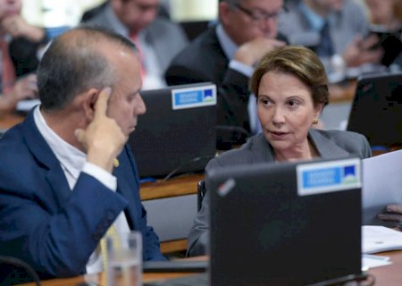 Apoio de Bolsonaro ao PSDB em MS coloca ex-ministros em rota de colisão