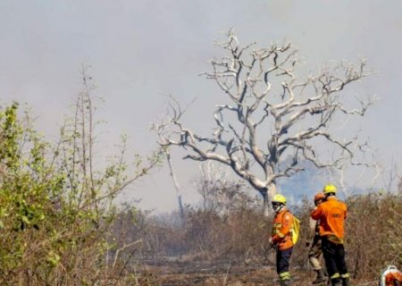 Novo grande incêndio no Pantanal do Porto Maracangalha mobiliza bombeiros