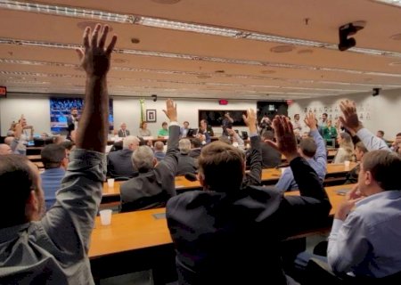 Congresso analisa abertura de CPI Mista para investigar atuação de ONGS na moratória da soja
