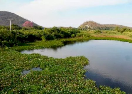 Estatuto do Pantanal é aprovado na Comissão de Meio Ambiente do Senado>