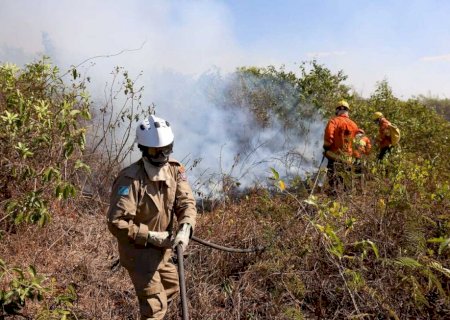 Estado receberá 40 bombeiros de três estados para ajudar a combater incêndios no Pantanal
