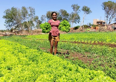 Agraer comemora aprovação de  projetos voltados para a agricultura familiar