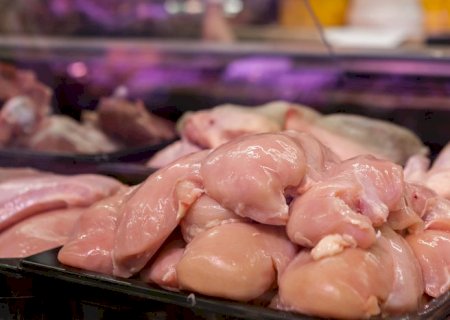 Brasil suspende preventivamente as exportações de carne de aves e seus produtos