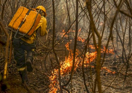 Com mais de 5% já queimado, Pantanal de MS sofre com retorno dos incêndios