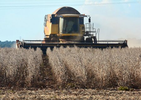 Mato Grosso do Sul tem potencial para dobrar a área plantada de soja em 5 anos>