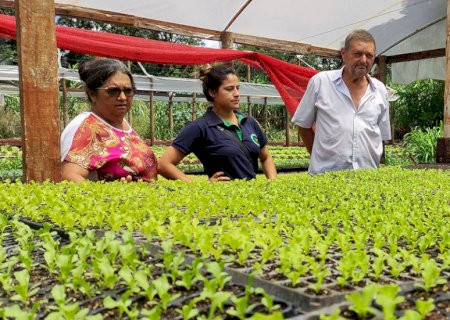 Dia Internacional da Agricultura Familiar: Conheça a história de sucesso da família Bertipaglia que morou em Caarapó