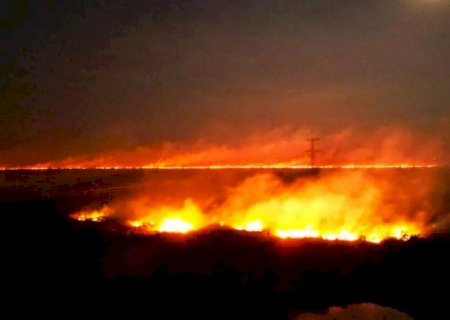 MS lidera ranking de queimadas no Brasil enquanto Pantanal enfrenta pior seca em 70 anos>