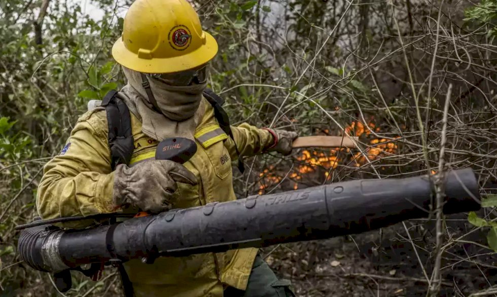 Após queima de 1,76 milhão de hectares, Ibama dobra brigadistas em MS