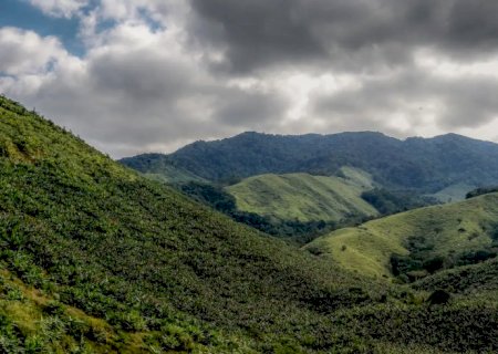 Operação contra o desmatamento da Mata Atlântica começa em 17 estados