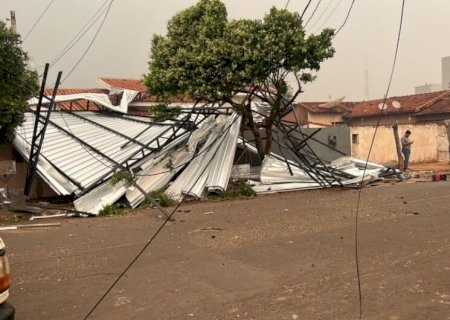 Ventania derruba árvores e estrutura metálica em Nova Andradina>