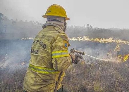 Ibama multa fazendeiros em R$ 100 milhões por queimada no Pantanal