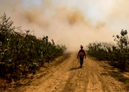 Incêndios já consumiram quase 2 milhões de hectares no Pantanal de MS>